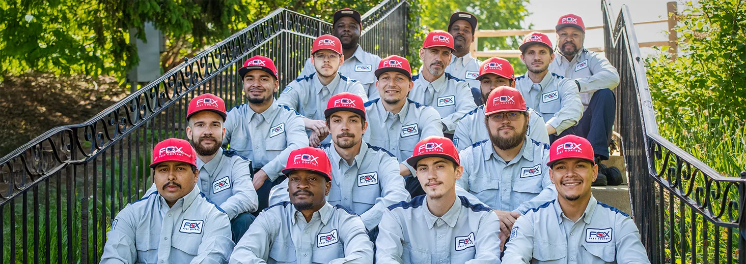 Chicago North Fox Pest Control team